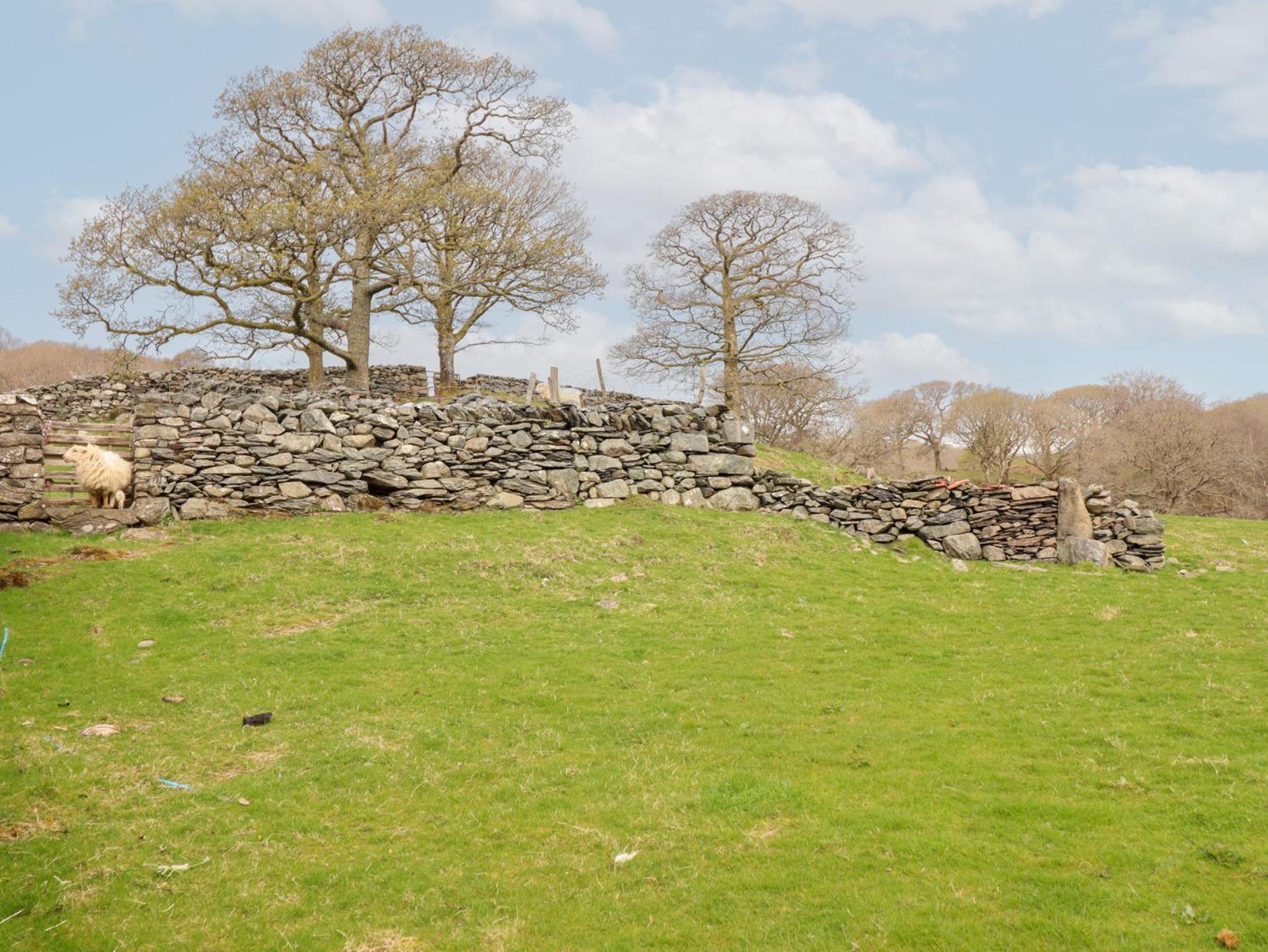 Y Bwthyn Villa Llanbedr  Buitenkant foto